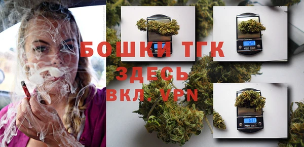гашик Карталы