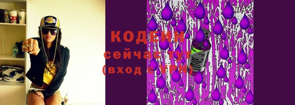 скорость Пересвет
