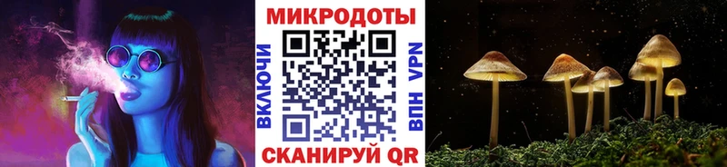 где можно купить   Дербент  Псилоцибиновые грибы Cubensis 