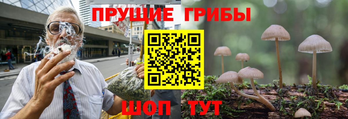 где найти наркотики  Вход с VPN  Дербент  Галлюциногенные грибы GOLDEN TEACHER 