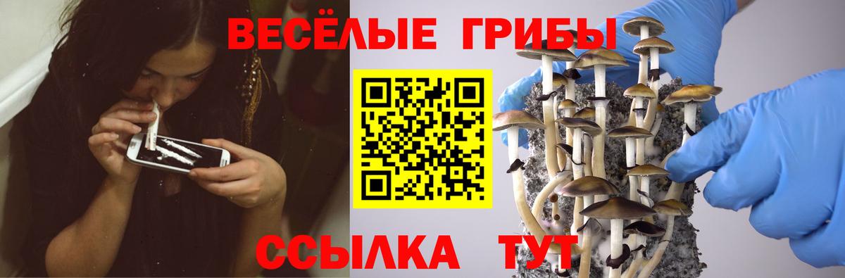 Псилоцибиновые грибы GOLDEN TEACHER Дербент